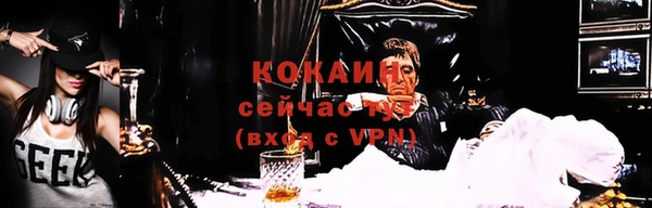 гашик Мегион