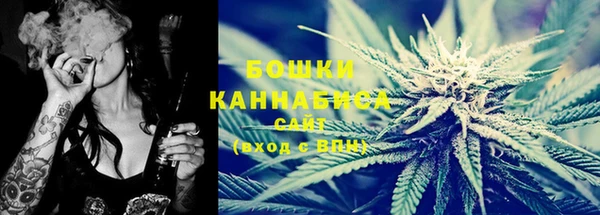 стаф Майский
